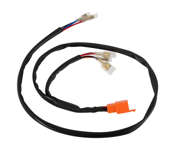 Motone Triumph Plug and Play Extended Wiring Loom Adapter